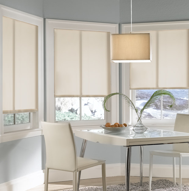 Roller shades in Phoenix